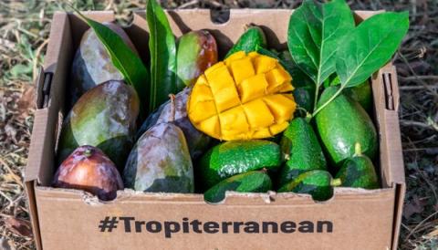 Der Direktverkauf ermöglicht es den Landwirten, die „tropiterranean“-Früchte nach Bedarf anzubauen und zu ernten.