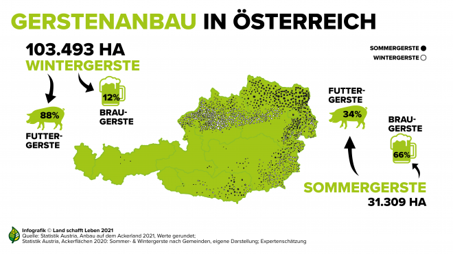Gerstenanbau in Österreich
