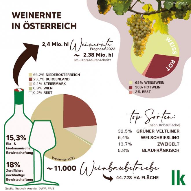 Weinernte in Österreich