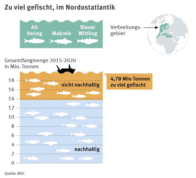 Grafik Überfischungskrise