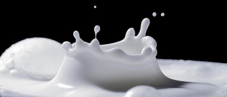 Milch als Schlüsselprodukt in Fragen der Herkunft