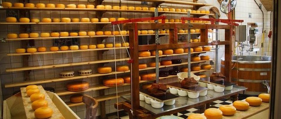 Auch für Hersteller von Käse wird der IFS Food Standard verpflichtend.