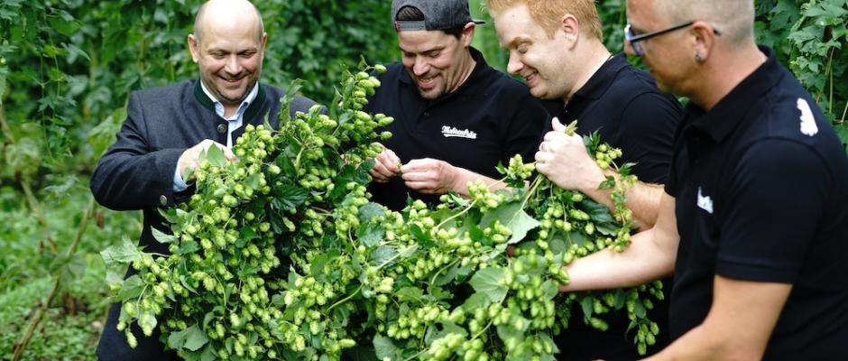 Braumeister Tim Groeger (links) und seine Kollegen von der Mohrenbrauerei begutachten die Qualität des Aromahopfens aus exklusivem Anbau.