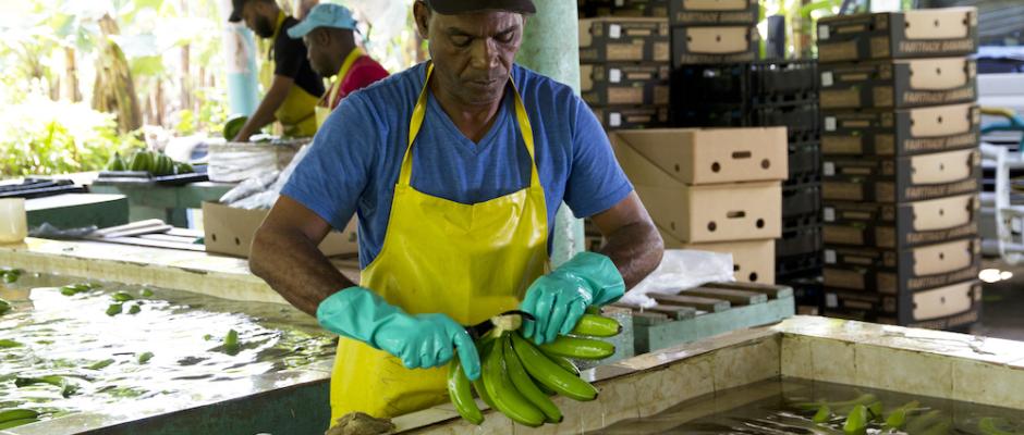 Fairtrade: World Banana Day
