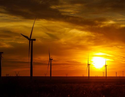 Amazo: Windfarm im US-Bundesstaat Texas.