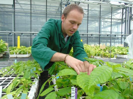 Nestlé stärkt Agrarwissenschaftsexpertise mit eigenem Forschungsinstitut 