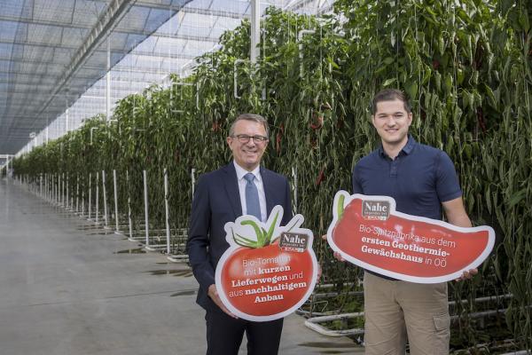 Erstes Geothermie-Gewächshaus in Oberösterreich produziert Tomaten und Paprika in Bio-Qualität für die Spar. Im Bild Spar-Geschäftsführer in Oberösterreich, Jakob Leitner und Biohof-Geschäftsführer Patrick Haider (rechts).