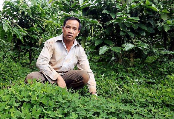 Trinh Tan Vinh, Kaffeefarmer im Distrikt Di Linh district im zentralen Hochland von Vietnam, hat mithilfe der Rainforest Alliance auf regenerative Landwirtschaft umgestellt 